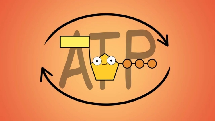 ATP快速熒光檢測(cè)儀是一種高效、準(zhǔn)確、易操作的設(shè)備